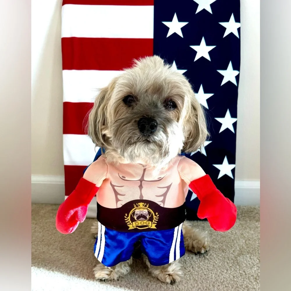 Dog Halloween Costume Rocky Boxer 3D Boxing Gloves for Small Dogs